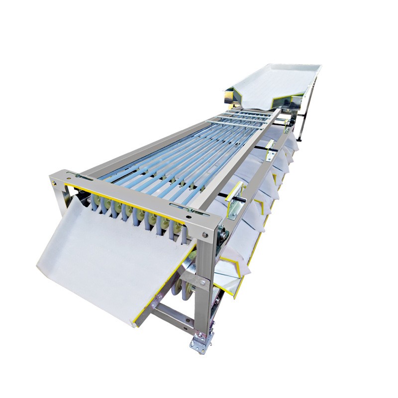 全自动选果机水果筛选机李子圣女果金桔樱桃槟榔百香果水果分选机 1台图4