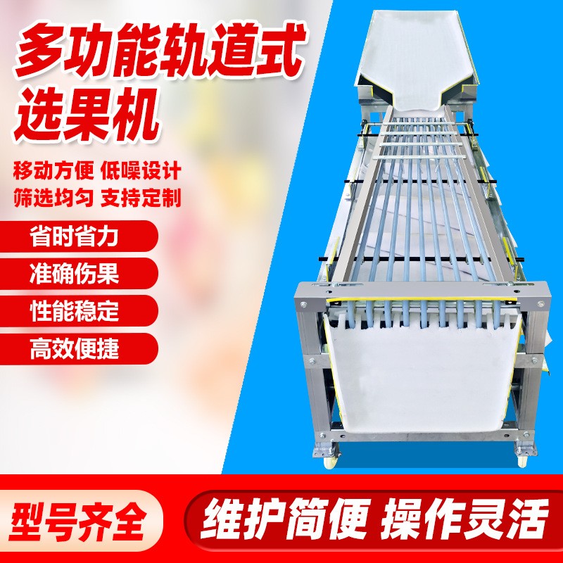 全自动选果机水果筛选机李子圣女果金桔樱桃槟榔百香果水果分选机 1台图5