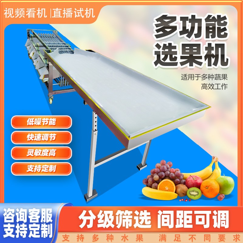 全新全自动选果机分选机李子圣女果金桔樱桃槟榔百香果水果分选机 1台图2