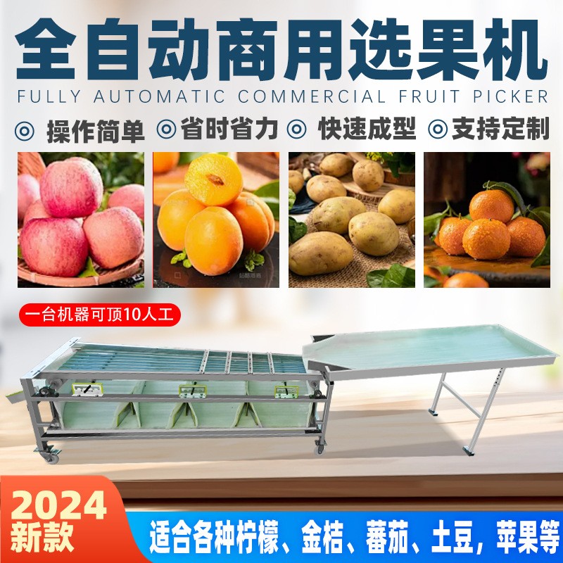 全新全自动选果机分选机李子圣女果金桔樱桃槟榔百香果水果分选机 1台图3