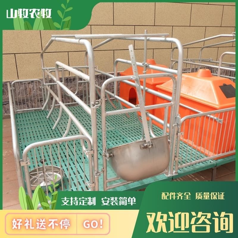 复合漏粪板双体母猪产床 热镀锌栏位母猪位 bmc复合猪床厂家直发 2台图3