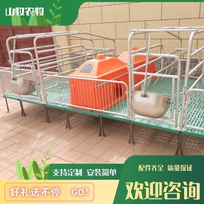 养殖场用品母猪产床双体复合加厚加宽产床母猪单体产床产保一体 1台