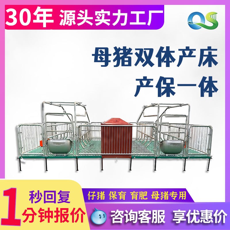 双体母猪产床分娩床全复合产保一体保育床定限位栏猪用单体产床 1套图2