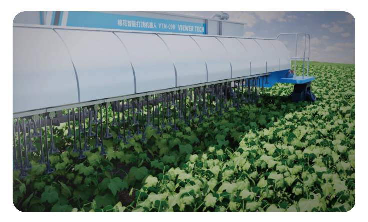 棉花智能打顶机器人VTM-09B图4