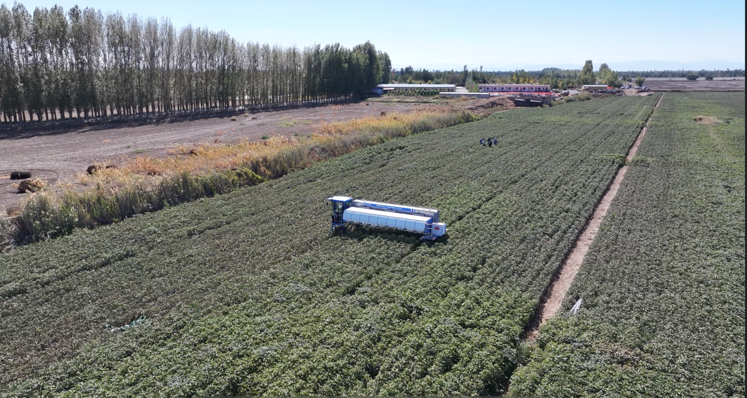 棉花智能打顶机器人VTM-09B图5