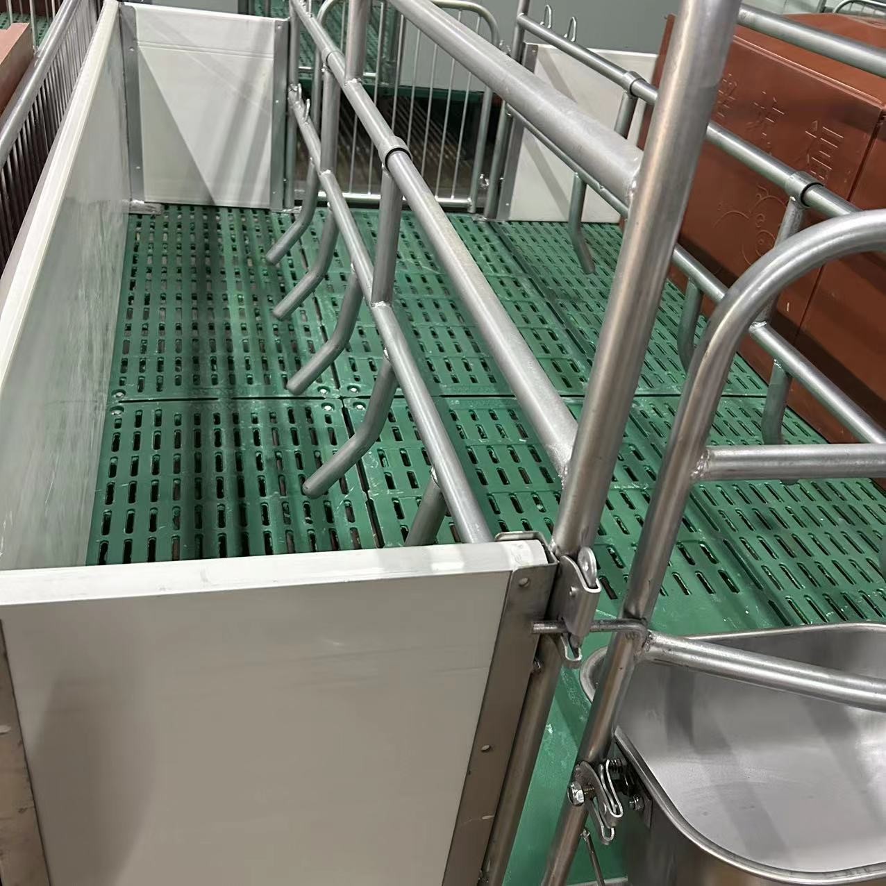 仿欧式产床现货母猪产床养猪设备畜牧养殖场产保一体床母猪分娩床 2套图4