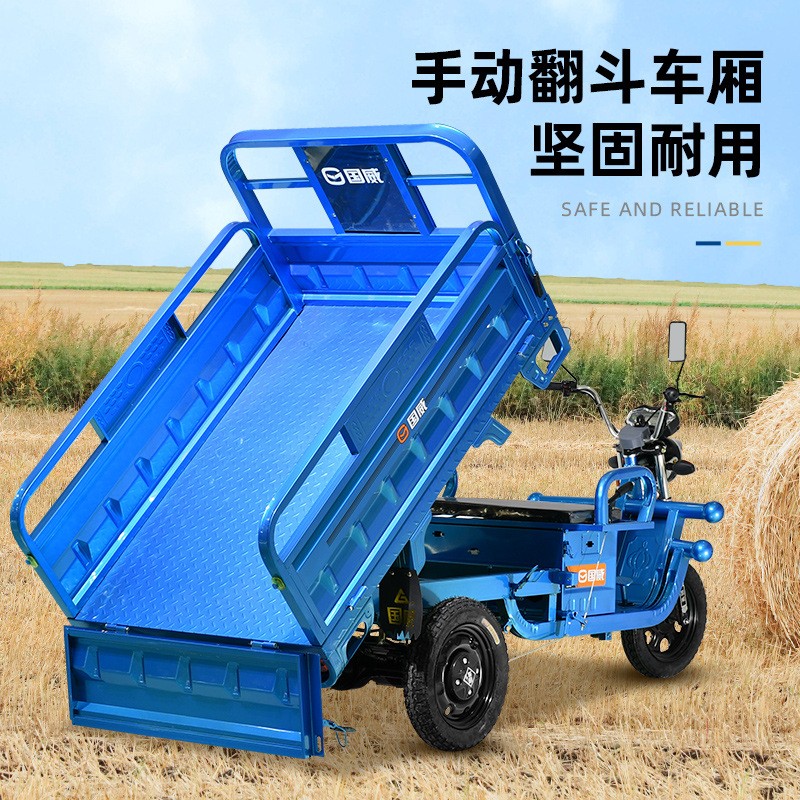 国威三轮车电动三轮车老年人拉货家用电瓶车农用电三轮带棚三蹦子 1辆图2