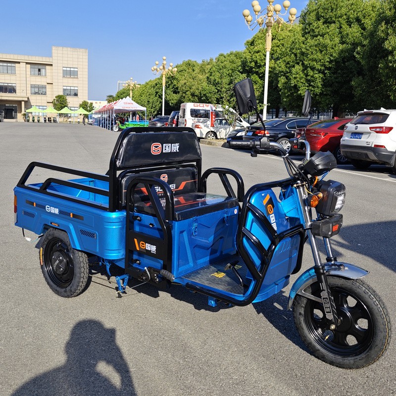 国威电动三轮车小型载人载货农用家用载重拉货电瓶车电动车摆摊新 1辆图3