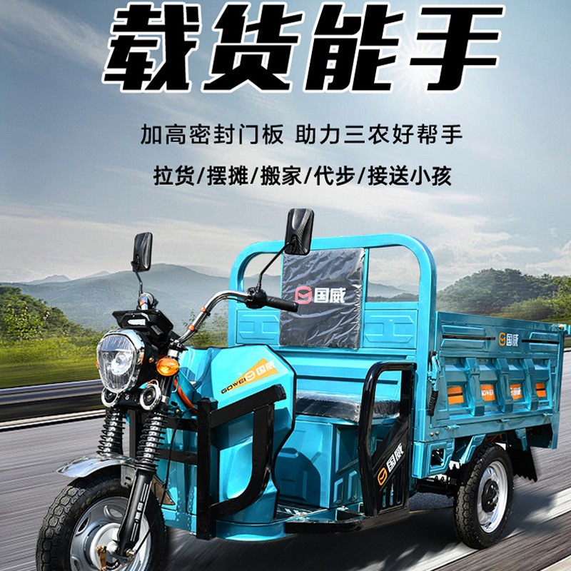 国威电动车电动三轮车送货载货家用摆摊农用翻斗载人电瓶车大功率 1辆图2