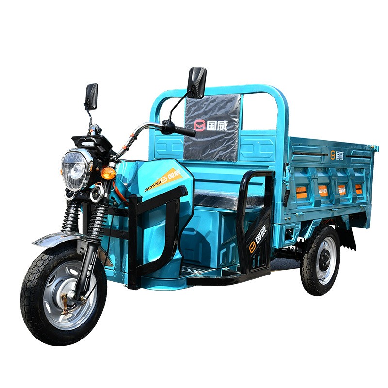 国威电动车电动三轮车送货载货家用摆摊农用翻斗载人电瓶车大功率 1辆图5