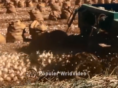 走进美国农业机械农业技术