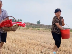 天气预报有雨，公公提前播种花生，婆婆当配重，地里实在太干了