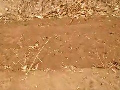 农业机械—旋耕机“切刀式”