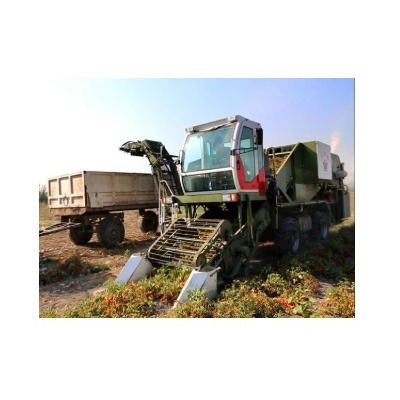 威明德4FZ-35自走式番茄收获机图2