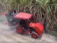 神奇的农机设备，修理甘蔗的，第一次见