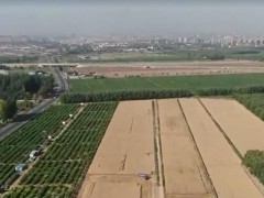 全球连线｜无人农机助力农业智能化发展