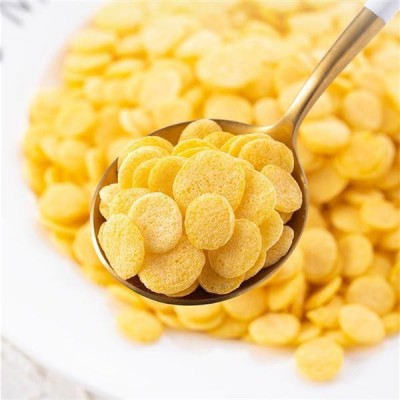 黄金玉米片生产线 熟化双螺杆生产设备 厂家直供