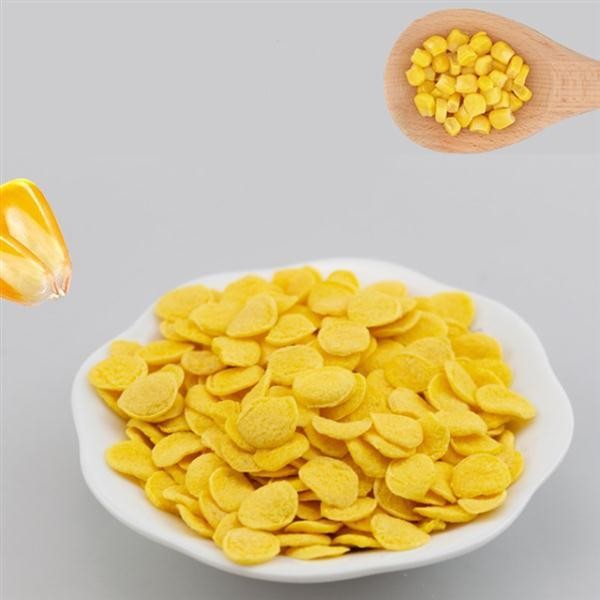 黄金玉米片生产线 熟化双螺杆生产设备 厂家直供图5