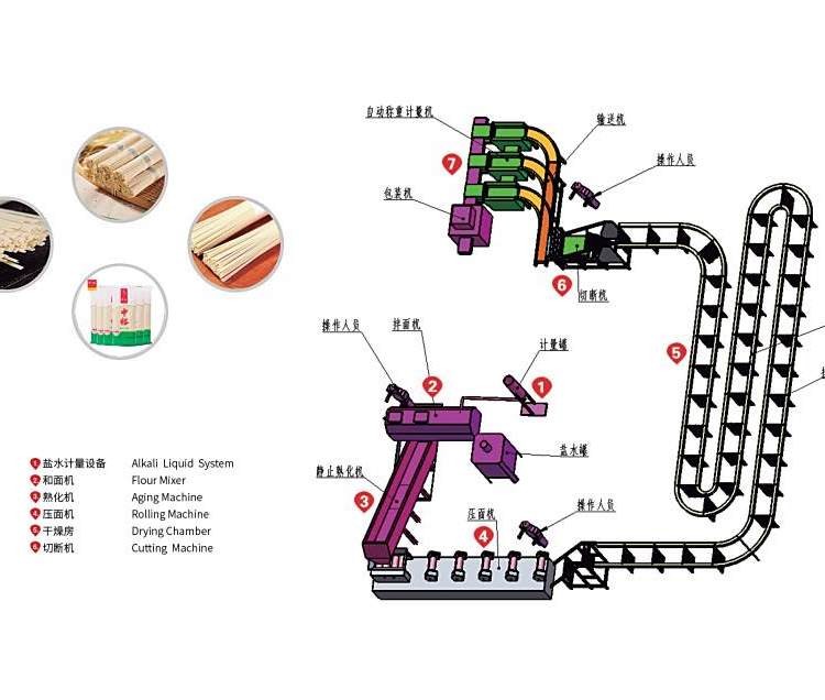 挂面生产线 金都1000多功能全自动大型面条机流水线厂家图5