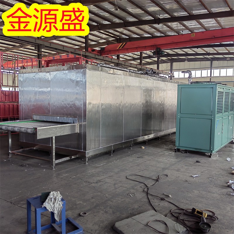 汤圆隧道式速冻机 全自动海鲜单冻机制造商 饺子速冻设备金源盛图3