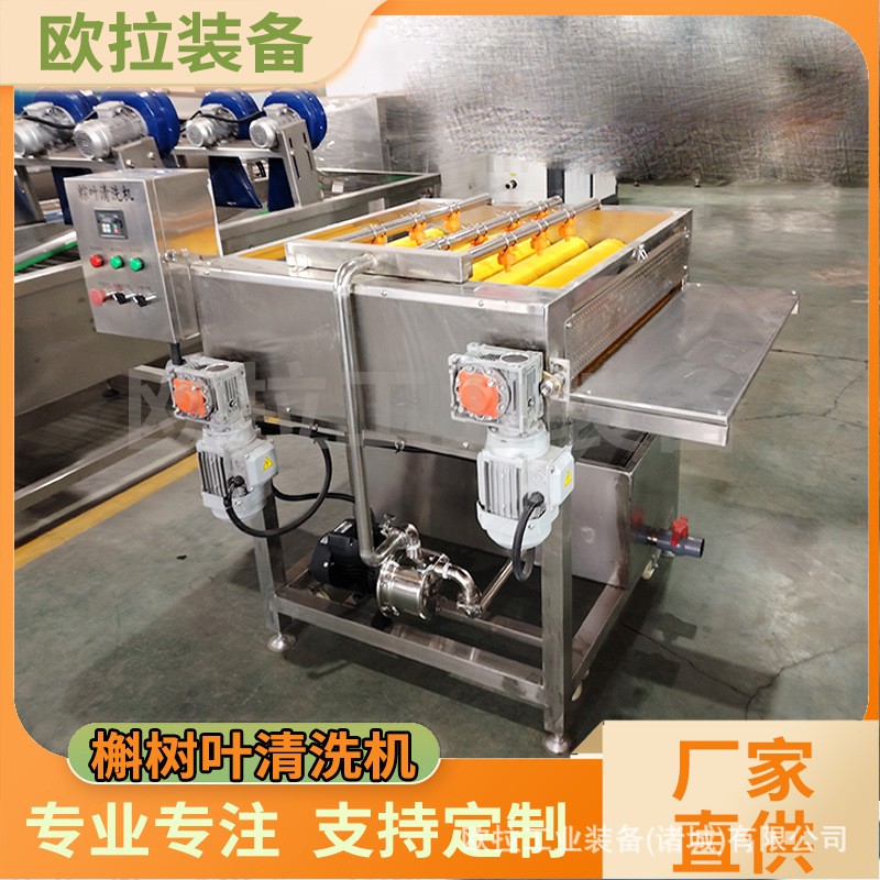 毛辊清洗设备 荷叶清洗流水线 粽叶 芭蕉叶 芦苇叶商用大型清洗机图2