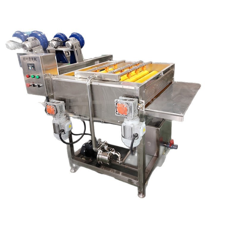 毛辊清洗设备 荷叶清洗流水线 粽叶 芭蕉叶 芦苇叶商用大型清洗机图5