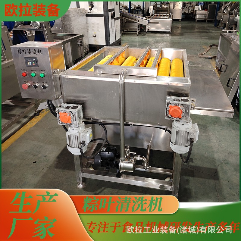 毛辊清洗设备 荷叶清洗流水线 粽叶 芭蕉叶 芦苇叶商用大型清洗机图4