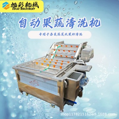 果蔬气泡清洗机西蓝花生菜喷淋清洗芹菜小米辣净菜果蔬清洗设备厂