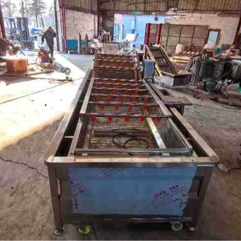 柑橘气泡清洗机杨梅草莓果蔬喷淋清洗设备圣女果全自动气泡清洗机图2