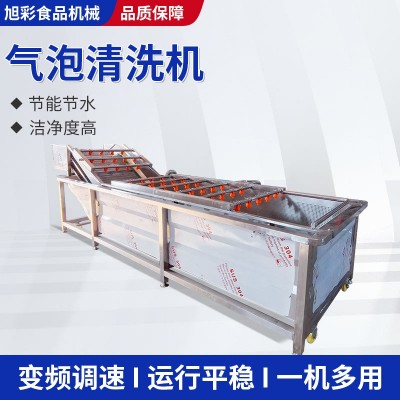 柑橘气泡清洗机杨梅草莓果蔬喷淋清洗设备圣女果全自动气泡清洗机
