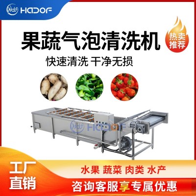 全自动瓜果蔬菜气泡清洗机不锈钢喷淋式洗菜机中央厨房净菜产线