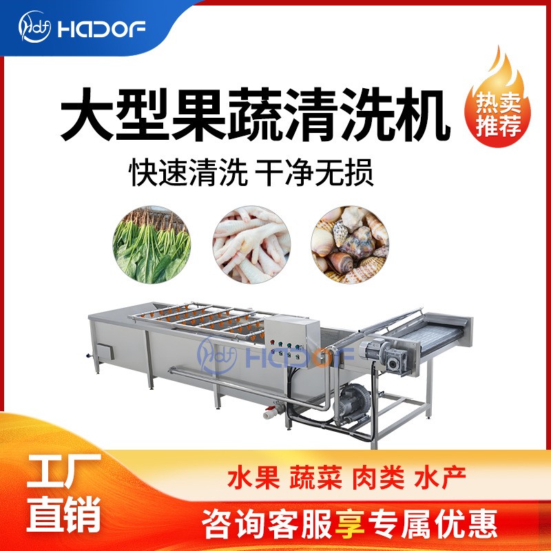 全自动瓜果蔬菜气泡清洗机不锈钢喷淋式洗菜机中央厨房净菜产线图4