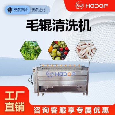 全自动洗姜机山药马蹄毛辊清洗机不锈钢预制菜加工清洗整条产线