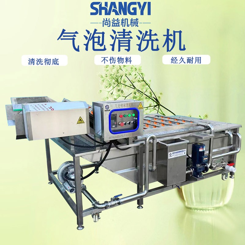 商用气泡果蔬清洗机中央厨房叶菜根茎类清洗设备食品厂洗菜机图1