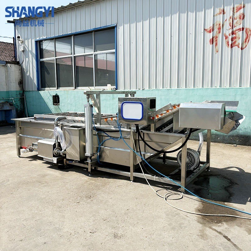 商用气泡果蔬清洗机中央厨房叶菜根茎类清洗设备食品厂洗菜机图4