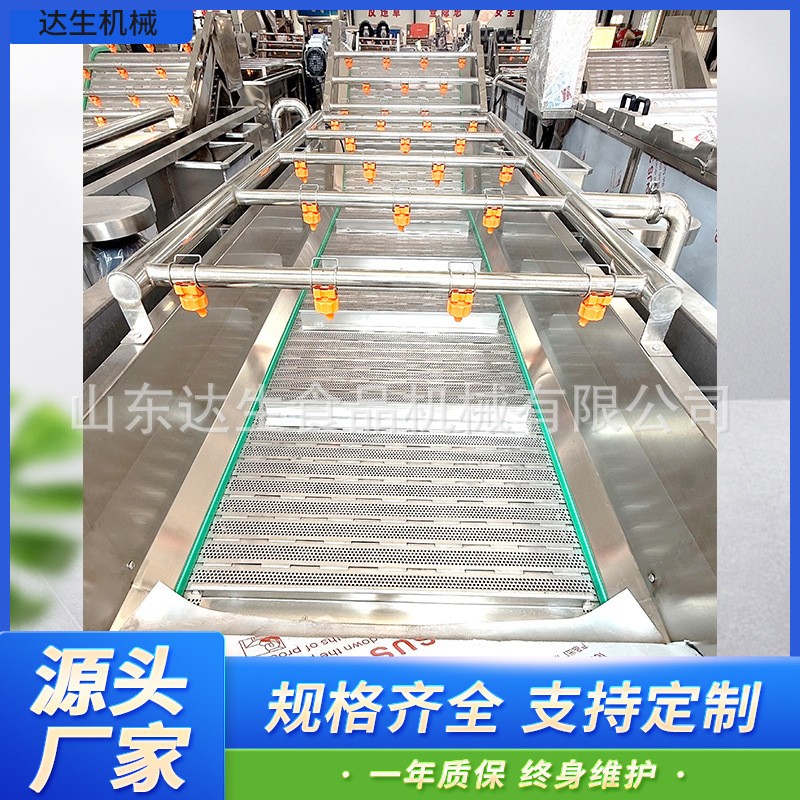净菜加工设备 商用红枣油麦菜毛豆喷淋式洗菜机 气泡清洗流水线图4