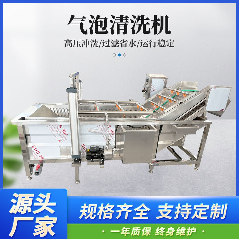 漂烫机 辣椒西红柿圣女果不锈钢清洗设备 超声波振头蔬菜清洗机图3