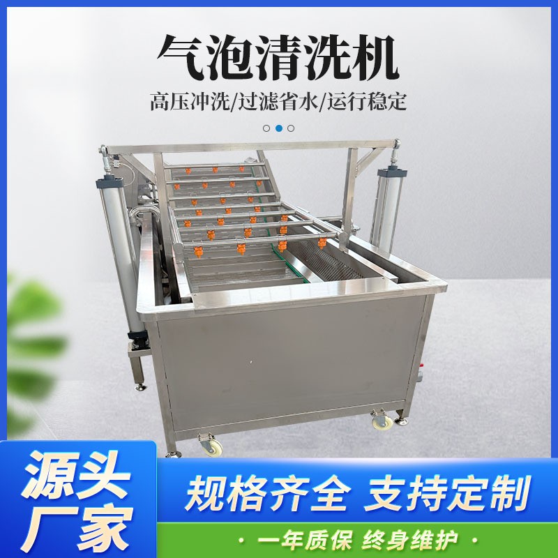 漂烫机 辣椒西红柿圣女果不锈钢清洗设备 超声波振头蔬菜清洗机图2