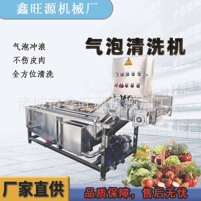 鑫旺源大枣喷淋式清洗机荠菜高压循环流水洗菜机菜叶类气泡清洗机图4