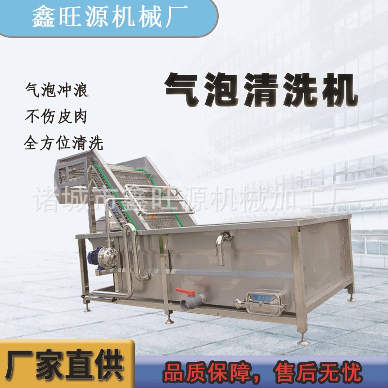 鑫旺源大枣喷淋式清洗机荠菜高压循环流水洗菜机菜叶类气泡清洗机