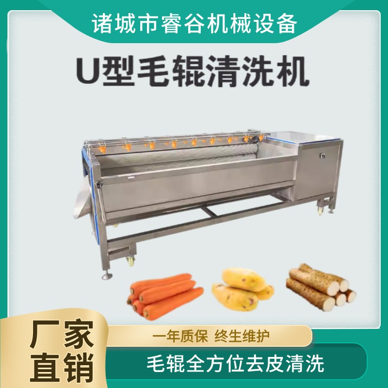 木瓜清洗去皮机球茎类果蔬毛辊清洗机洋芋马铃薯萝卜红薯洗泥沙机