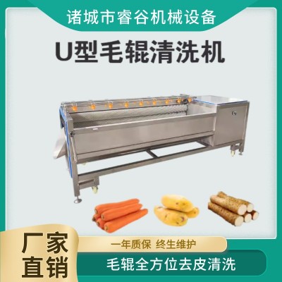木瓜清洗去皮机球茎类果蔬毛辊清洗机洋芋马铃薯萝卜红薯洗泥沙机