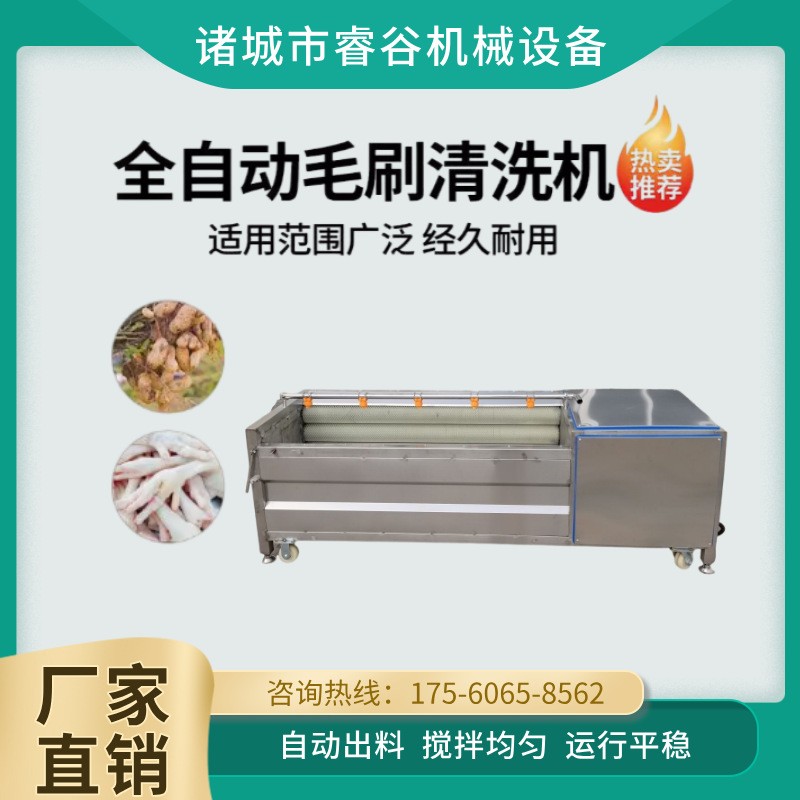 木瓜清洗去皮机球茎类果蔬毛辊清洗机洋芋马铃薯萝卜红薯洗泥沙机图3