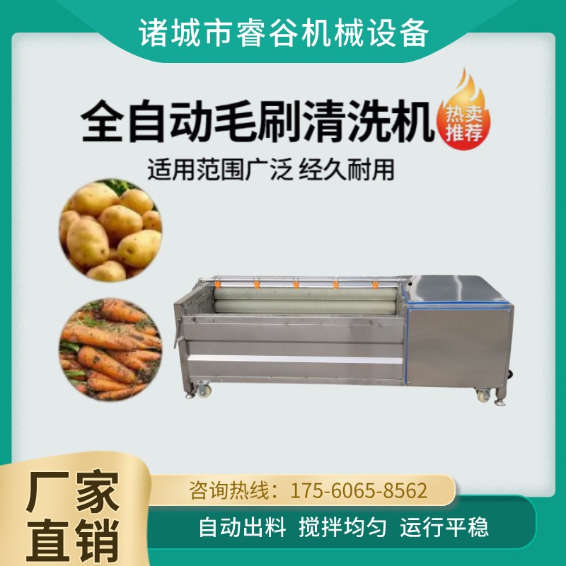 木瓜清洗去皮机球茎类果蔬毛辊清洗机洋芋马铃薯萝卜红薯洗泥沙机图2