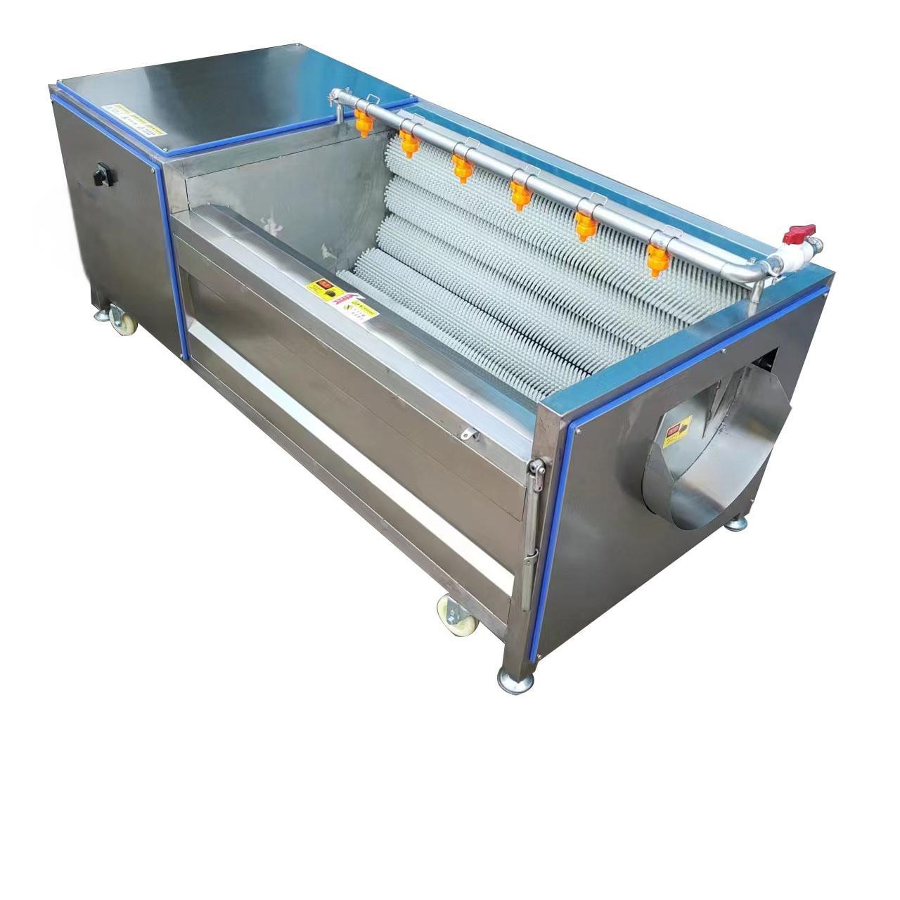 木瓜清洗去皮机球茎类果蔬毛辊清洗机洋芋马铃薯萝卜红薯洗泥沙机图5