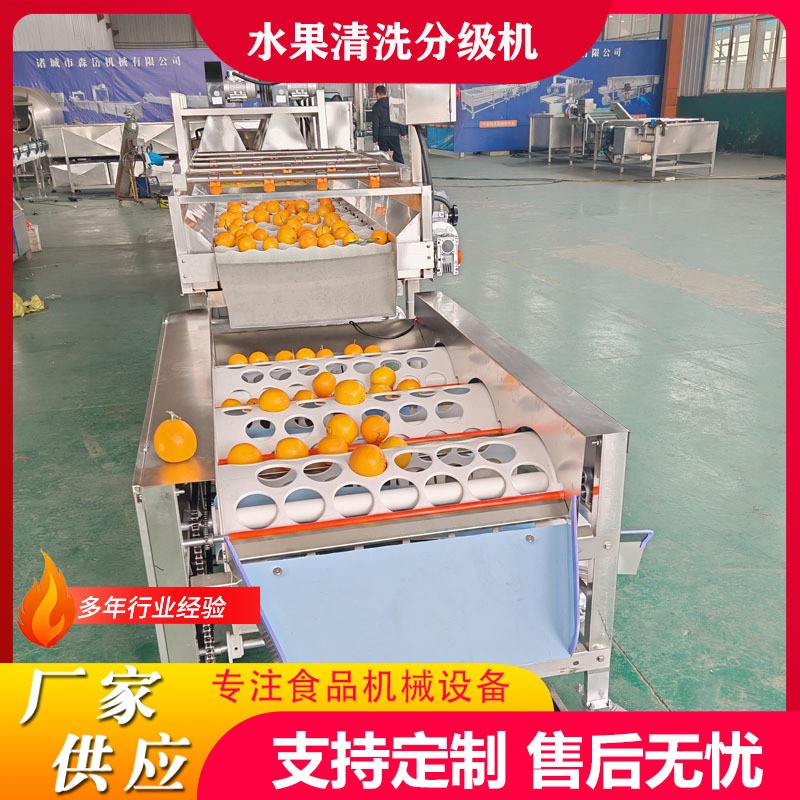 工厂用果蔬清洗打蜡分级流水线沃柑清洗加工线橙子清洗风干选果机图2