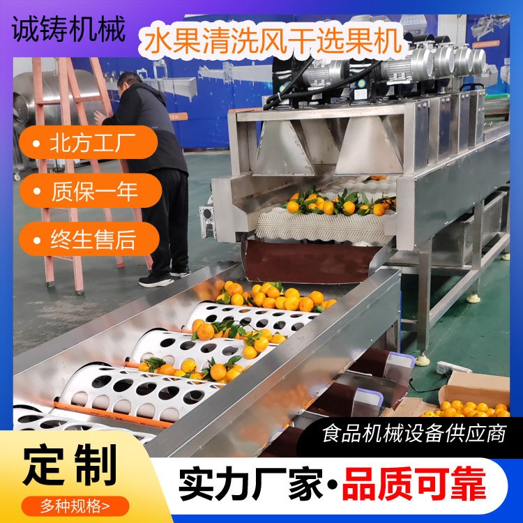 工厂用果蔬清洗打蜡分级流水线沃柑清洗加工线橙子清洗风干选果机图3