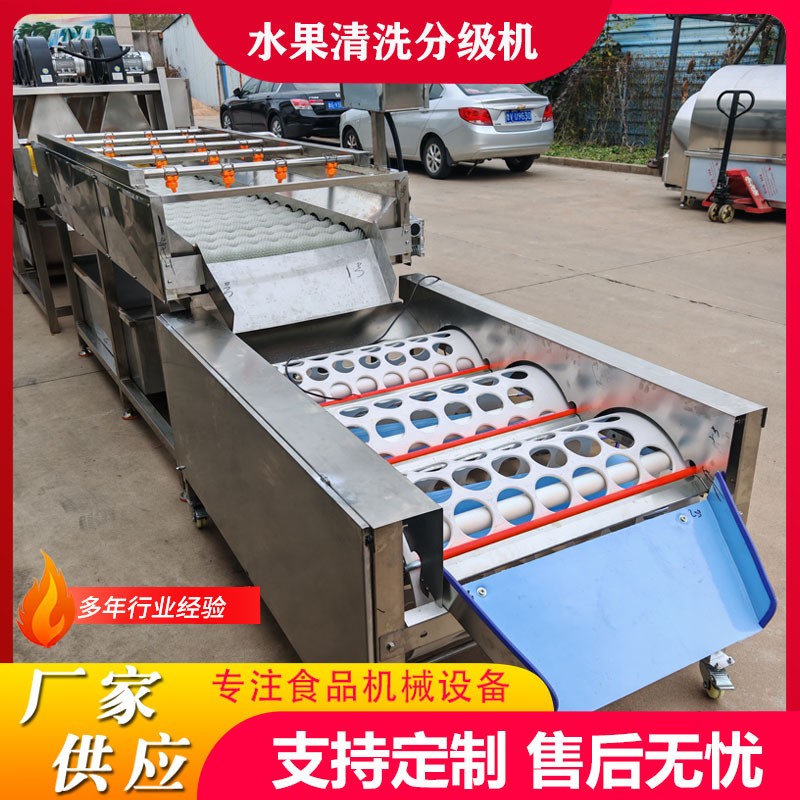 工厂用果蔬清洗打蜡分级流水线沃柑清洗加工线橙子清洗风干选果机