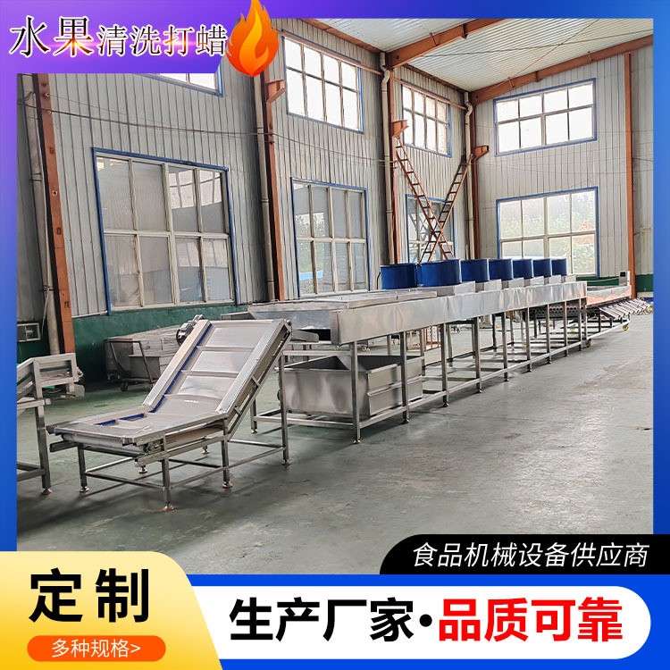 工厂用果蔬清洗打蜡分级流水线沃柑清洗加工线橙子清洗风干选果机图4