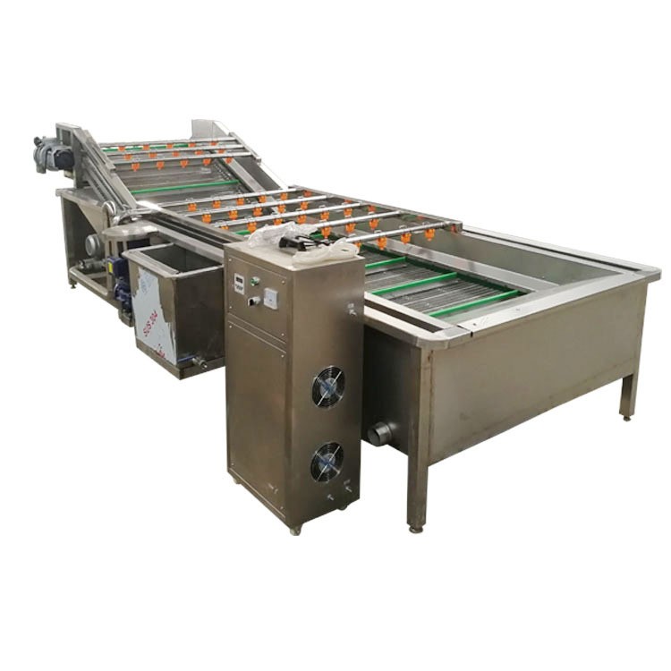 商用果蔬气泡清洗机板栗鼓泡翻浪清洗机鲜玉米去杂气泡清洗机设备图5